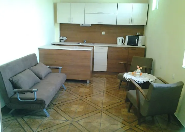 Guest house Tonus 2*