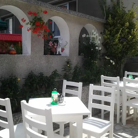 Tonus 2* 오브조르